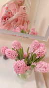 bunny_alina_kim Altpins Profile Picture