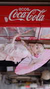 bunny_alina_kim Altpins Profile Picture
