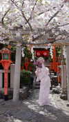 bunny_alina_kim Altpins Profile Picture