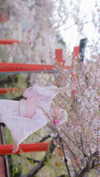 bunny_alina_kim Altpins Profile Picture