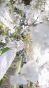 bunny_alina_kim Altpins Profile Picture