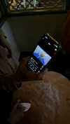 bunny_alina_kim Altpins Profile Picture