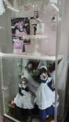 bunny_alina_kim Altpins Profile Picture
