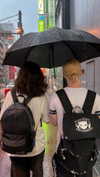 bunny_alina_kim Altpins Profile Picture