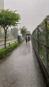 bunny_alina_kim Altpins Profile Picture