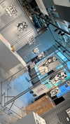 bunny_alina_kim Altpins Profile Picture