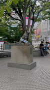 bunny_alina_kim Altpins Profile Picture