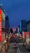 bunny_alina_kim Altpins Profile Picture