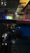 bunny_alina_kim Altpins Profile Picture