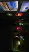 bunny_alina_kim Altpins Profile Picture