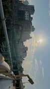 bunny_alina_kim Altpins Profile Picture