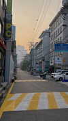 bunny_alina_kim Altpins Profile Picture