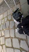 bunny_alina_kim Altpins Profile Picture