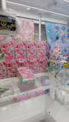 bunny_alina_kim Altpins Profile Picture