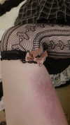 bunny_alina_kim Altpins Profile Picture