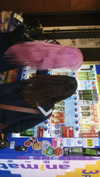 bunny_alina_kim Altpins Profile Picture