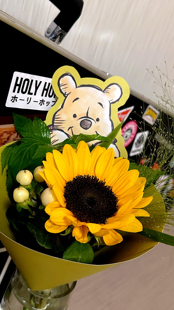 bunny_alina_kim instagram image archive image