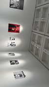 bunny_alina_kim Altpins Profile Picture