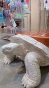 bunny_alina_kim Altpins Profile Picture