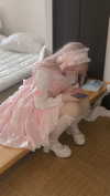 bunny_alina_kim Altpins Profile Picture
