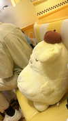 bunny_alina_kim Altpins Profile Picture