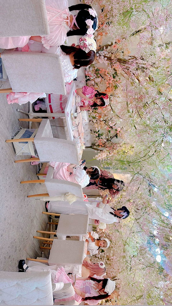 bunny_alina_kim instagram image archive image