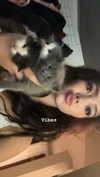 caerynndavies Altpins Profile Picture