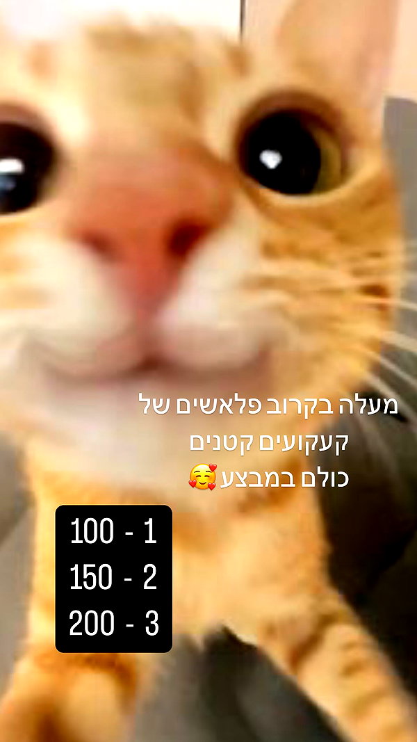 canabaputgir instagram image archive image