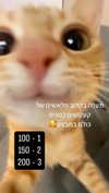 canabaputgir Altpins Profile Picture
