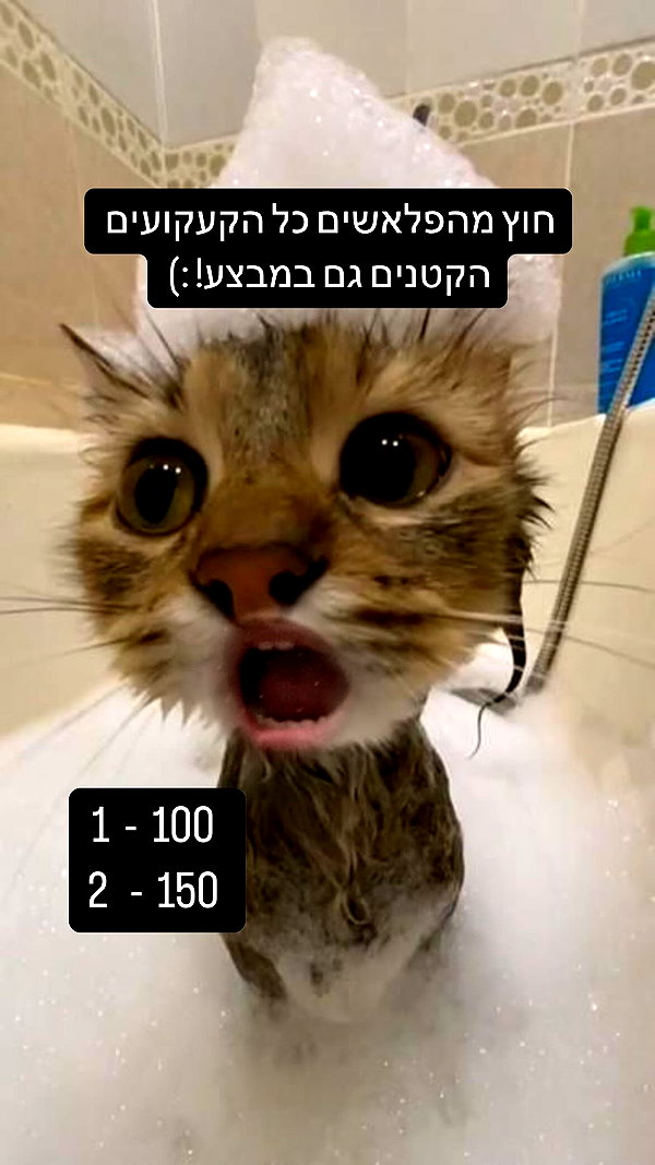 canabaputgir instagram image archive image