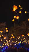 carolinesometimes Altpins Profile Picture