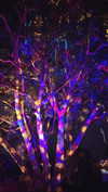 carolinesometimes Altpins Profile Picture