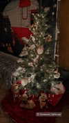 carolinesometimes Altpins Profile Picture