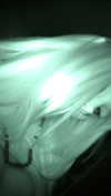 ch111oe Altpins Profile Picture