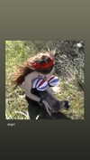 ch111oe Altpins Profile Picture