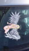 ch111oe Altpins Profile Picture
