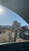 ch111oe Altpins Profile Picture