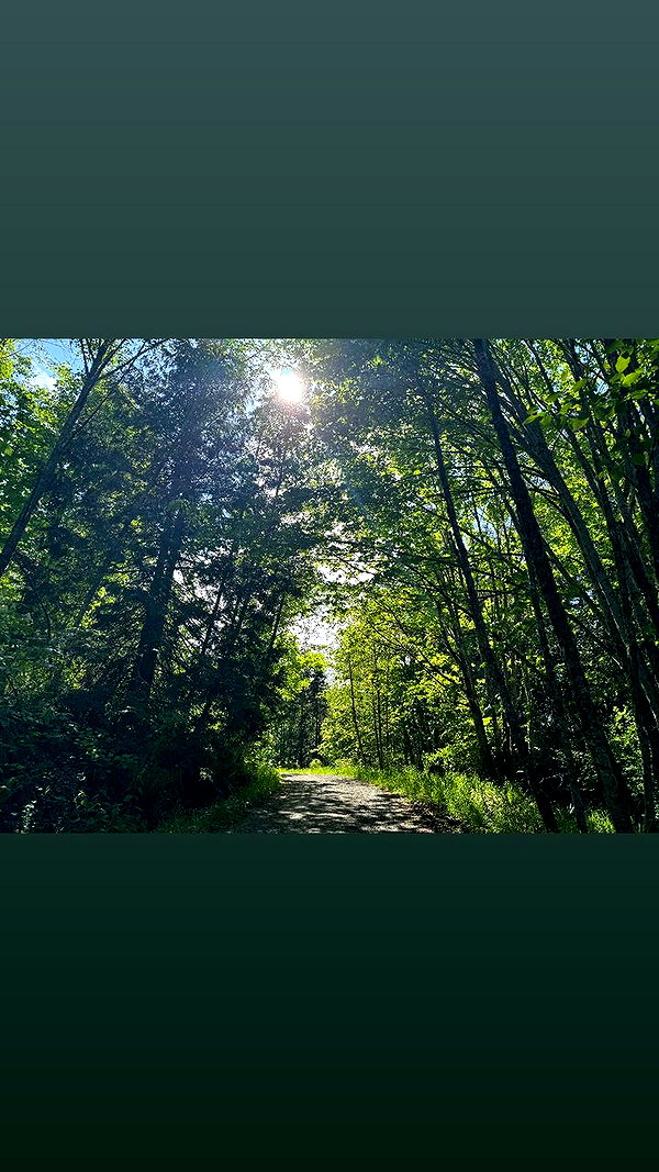 ch111oe instagram image archive image