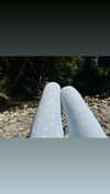 ch111oe Altpins Profile Picture