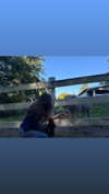 ch111oe Altpins Profile Picture