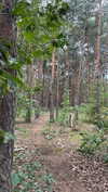 chen_partouche Altpins Profile Picture