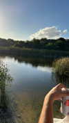 chen_partouche Altpins Profile Picture