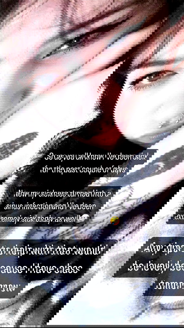 chibinekopurr chibinekopurr archive image