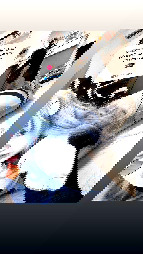 chibinekopurr chibinekopurr archive image