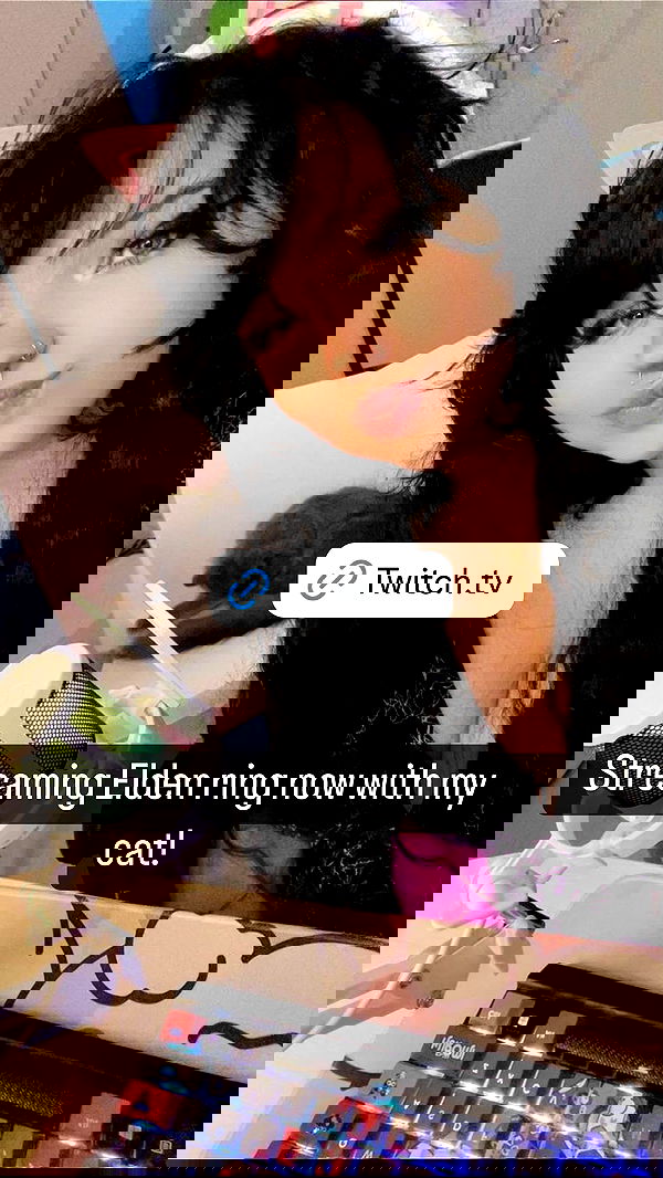 chibinekopurr chibinekopurr archive image