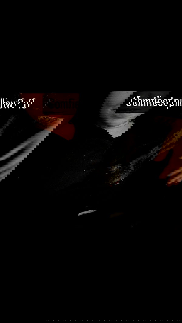 chibinekopurr chibinekopurr archive image