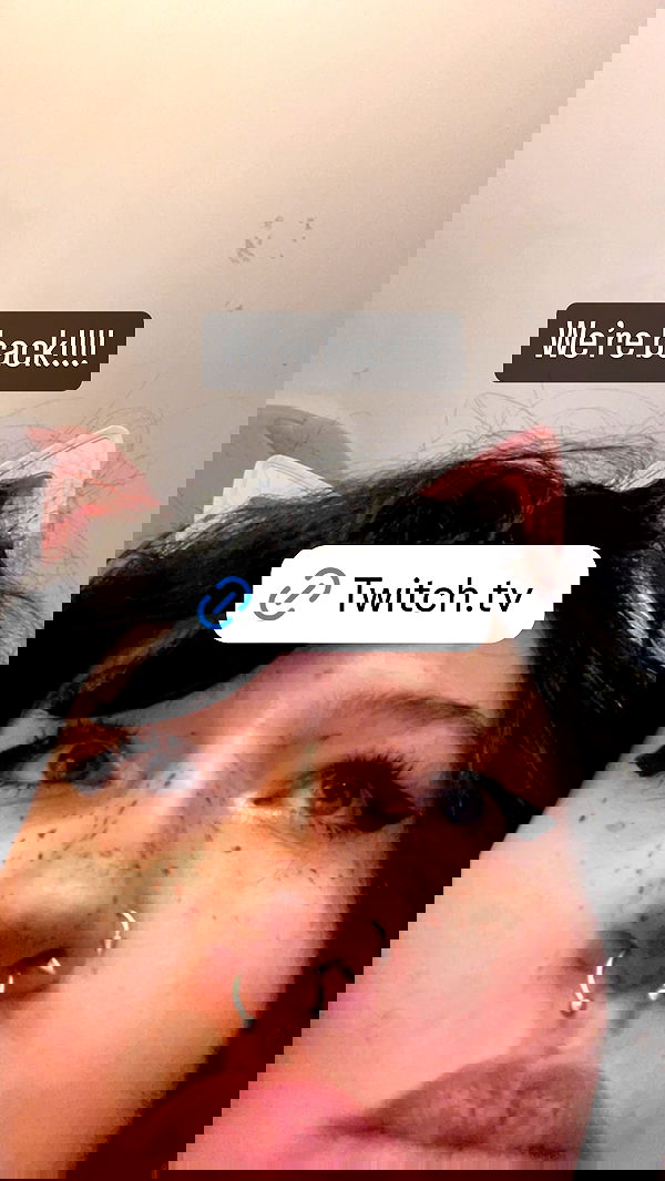 chibinekopurr chibinekopurr archive image