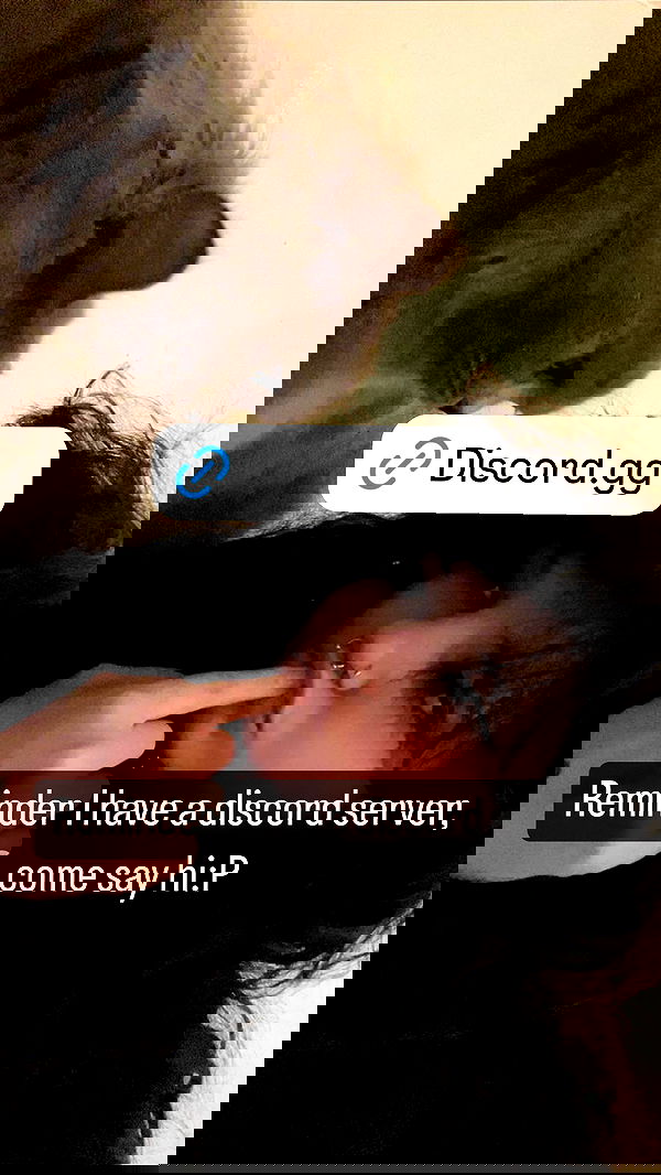 chibinekopurr chibinekopurr archive image