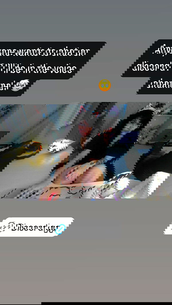 chibinekopurr chibinekopurr archive image