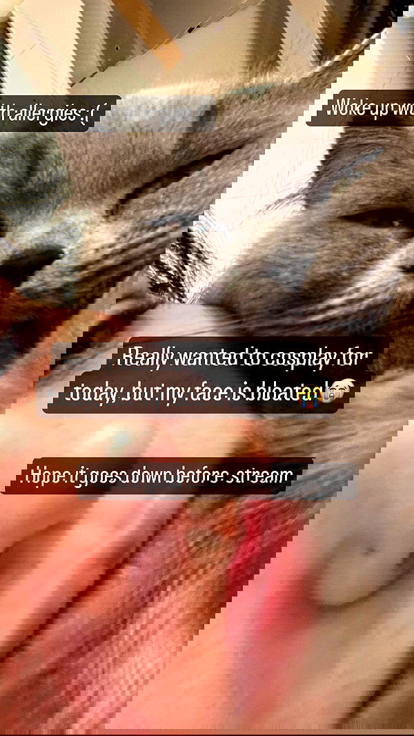 chibinekopurr chibinekopurr archive image